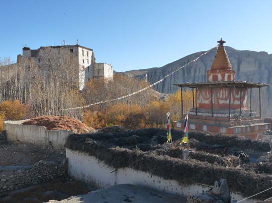 111109_Nepal_Mustang_0761_Tsarang_Lo_Manthang