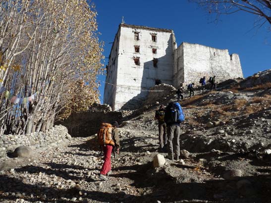 111109_Nepal_Mustang_0769_Tsarang_Lo_Manthang