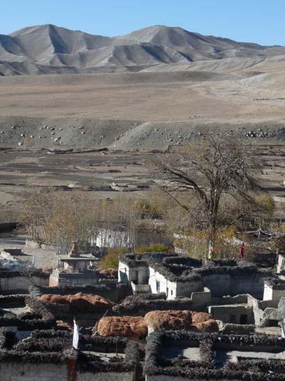 111109_Nepal_Mustang_0787_Tsarang_Lo_Manthang