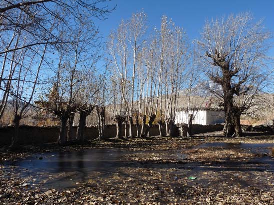 111109_Nepal_Mustang_0794_Tsarang_Lo_Manthang