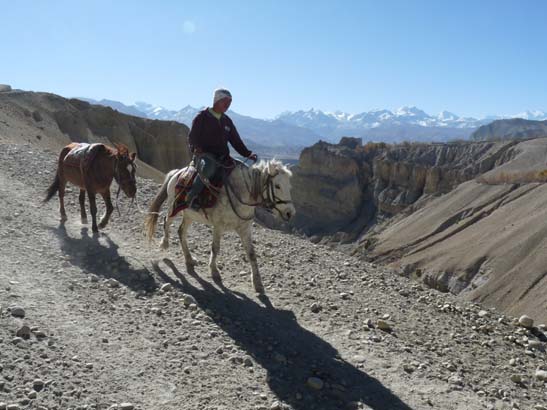 111109_Nepal_Mustang_0807_Tsarang_Lo_Manthang