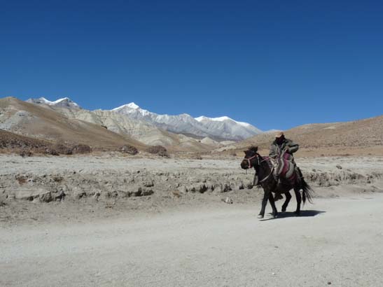 111109_Nepal_Mustang_0816_Tsarang_Lo_Manthang