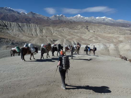 111109_Nepal_Mustang_0827_Tsarang_Lo_Manthang
