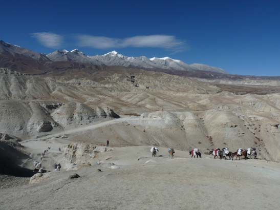 111109_Nepal_Mustang_0829_Tsarang_Lo_Manthang