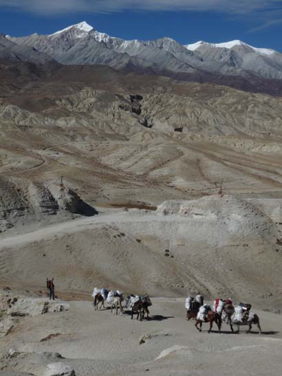 111109_Nepal_Mustang_0831_Tsarang_Lo_Manthang
