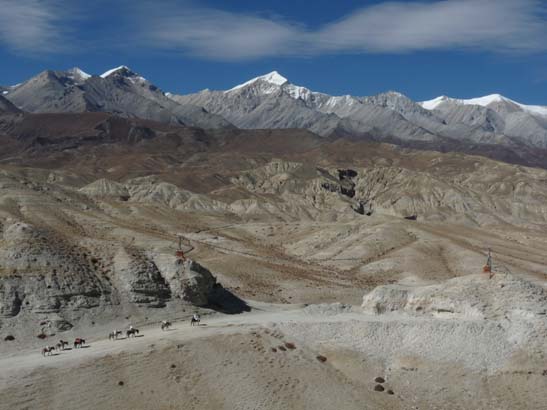 111109_Nepal_Mustang_0833_Tsarang_Lo_Manthang