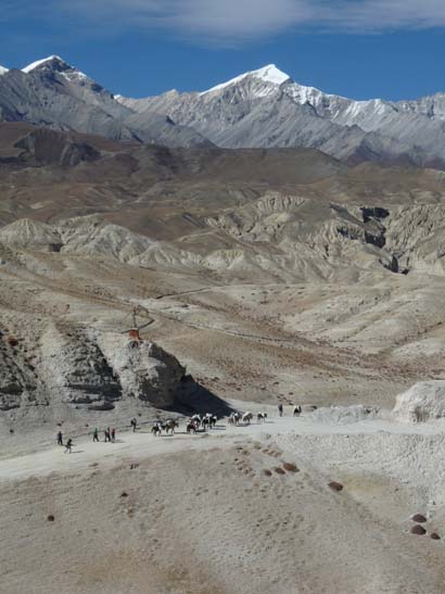 111109_Nepal_Mustang_0836_Tsarang_Lo_Manthang