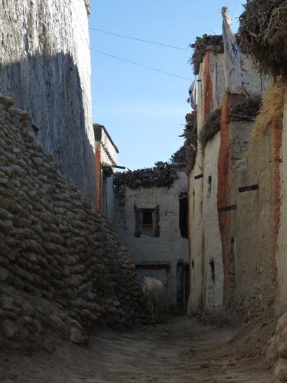 111109_Nepal_Mustang_0862_Tsarang_Lo_Manthang