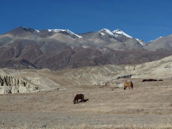 111110_Nepal_Mustang_0902_Lo_Manthang