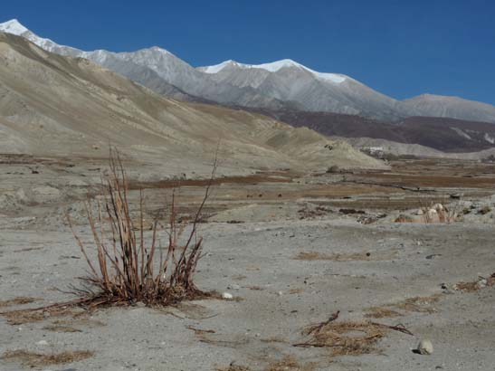 111110_Nepal_Mustang_0913_Lo_Manthang