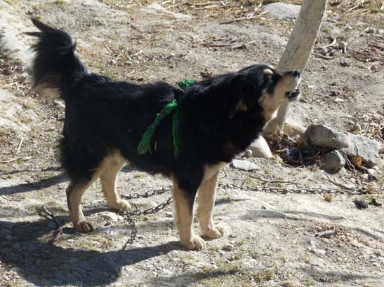 111110_Nepal_Mustang_0918_Lo_Manthang