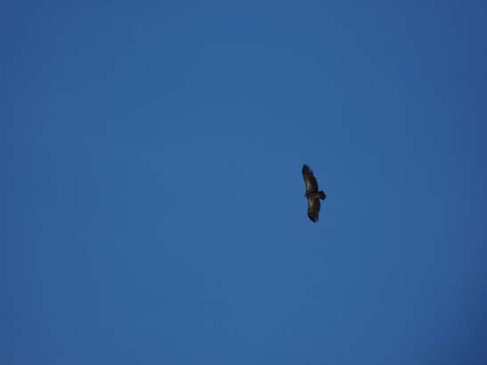 111110_Nepal_Mustang_0941_Lo_Manthang