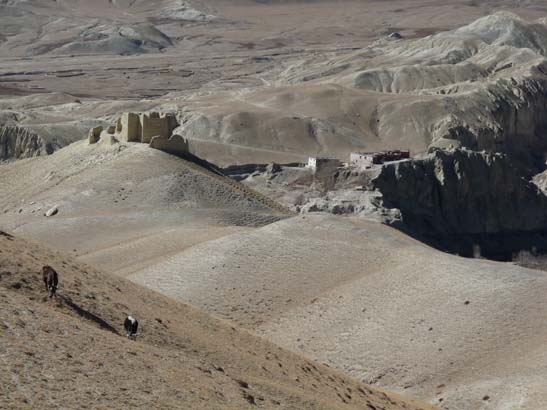111110_Nepal_Mustang_0950_Lo_Manthang