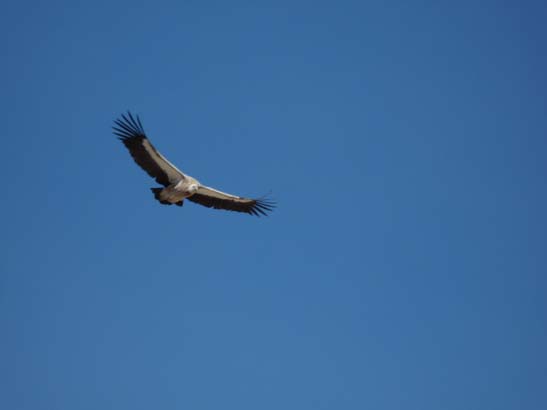 111110_Nepal_Mustang_0953_Lo_Manthang