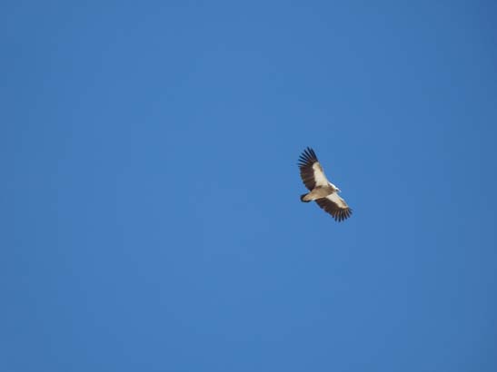 111110_Nepal_Mustang_0957_Lo_Manthang