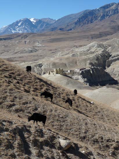 111110_Nepal_Mustang_0961_Lo_Manthang