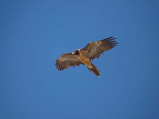 111110_Nepal_Mustang_0976_Lo_Manthang