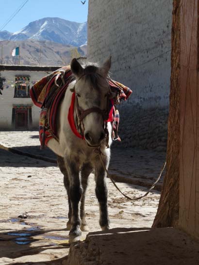 111110_Nepal_Mustang_0998_Lo_Manthang