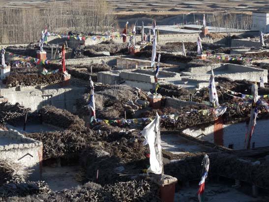 111110_Nepal_Mustang_1034_Lo_Manthang