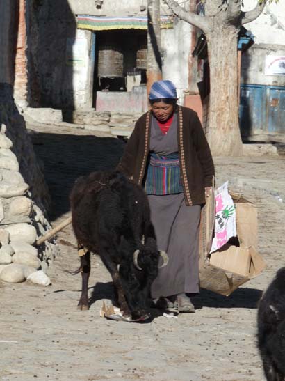 111111_Nepal_Mustang_1047_Lo_Manthang_Dhakmar
