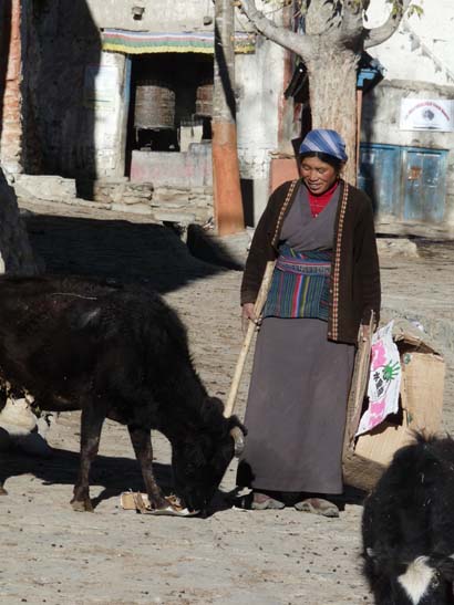 111111_Nepal_Mustang_1048_Lo_Manthang_Dhakmar