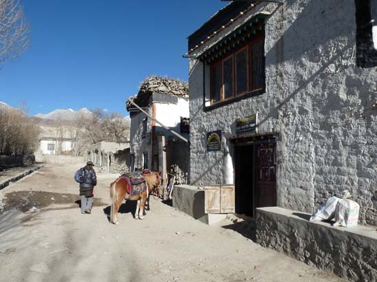 111111_Nepal_Mustang_1059_Lo_Manthang_Dhakmar