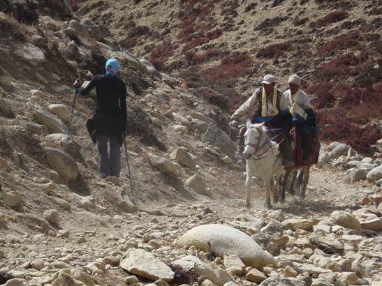 111111_Nepal_Mustang_1069_Lo_Manthang_Dhakmar