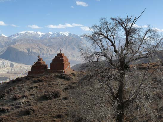 111111_Nepal_Mustang_1076_Lo_Manthang_Dhakmar