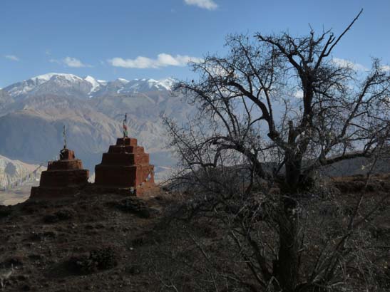 111111_Nepal_Mustang_1077_Lo_Manthang_Dhakmar