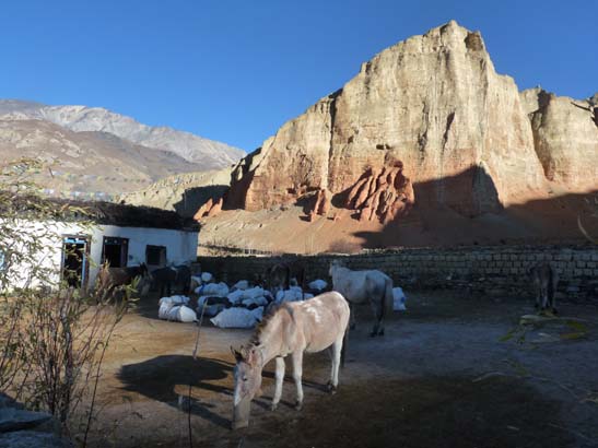 111112_Nepal_Mustang_1159_Dhakmar_Syangboche
