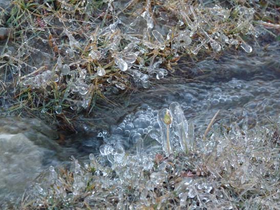 111112_Nepal_Mustang_1160_Dhakmar_Syangboche