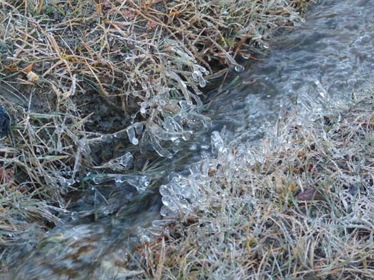 111112_Nepal_Mustang_1161_Dhakmar_Syangboche