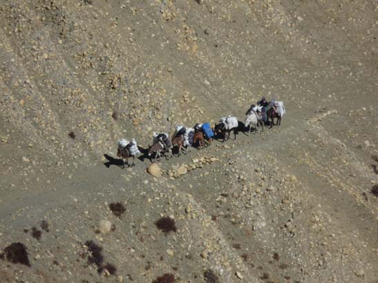 111112_Nepal_Mustang_1223_Dhakmar_Syangboche