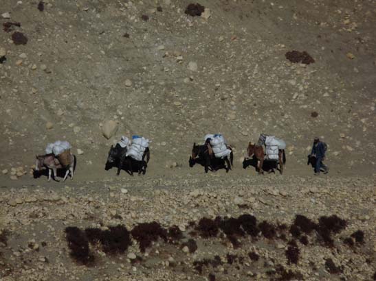 111112_Nepal_Mustang_1224_Dhakmar_Syangboche