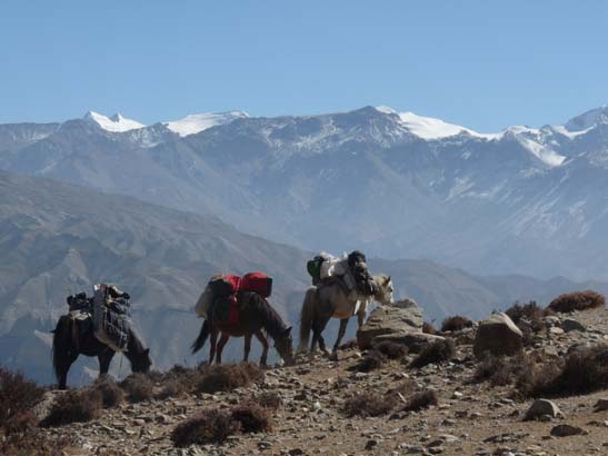 111112_Nepal_Mustang_1235_Dhakmar_Syangboche