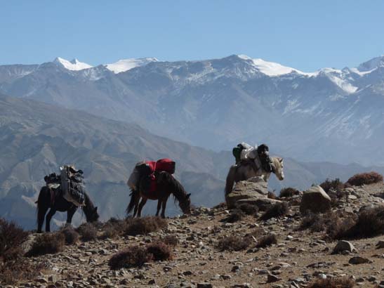 111112_Nepal_Mustang_1236_Dhakmar_Syangboche