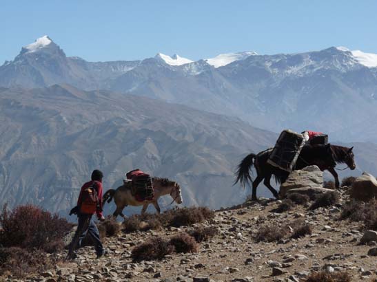 111112_Nepal_Mustang_1237_Dhakmar_Syangboche