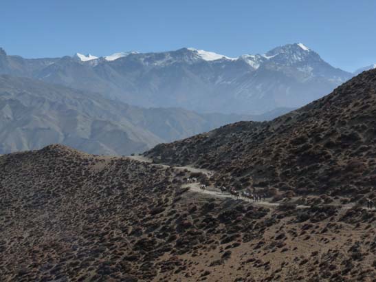 111112_Nepal_Mustang_1245_Dhakmar_Syangboche