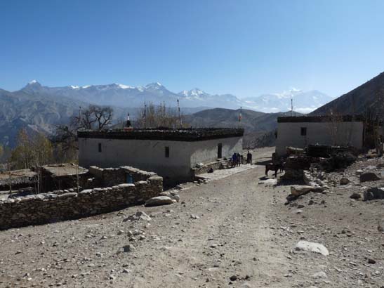 111112_Nepal_Mustang_1250_Dhakmar_Syangboche