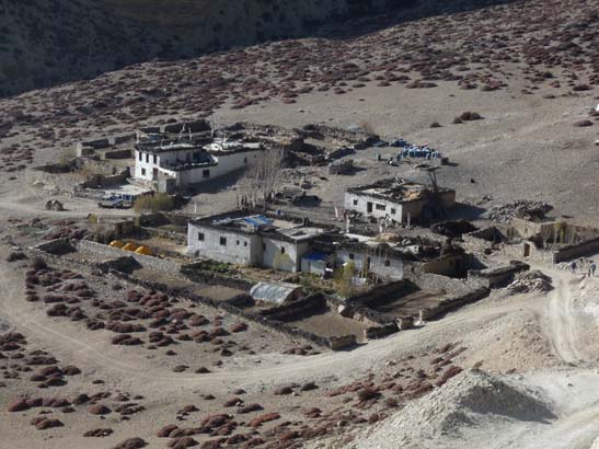 111112_Nepal_Mustang_1264_Dhakmar_Syangboche