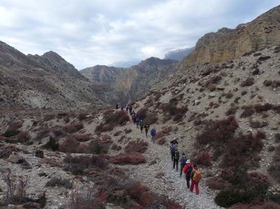 111113_Nepal_Mustang_1268_Syangboche_Chhusang