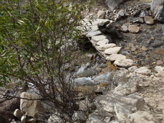 111113_Nepal_Mustang_1359_Syangboche_Chhusang