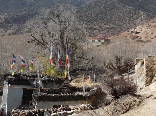 111113_Nepal_Mustang_1386_Syangboche_Chhusang