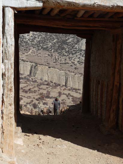 111113_Nepal_Mustang_1388_Syangboche_Chhusang