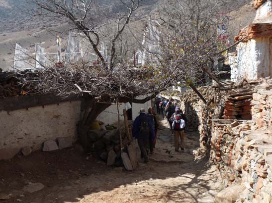 111113_Nepal_Mustang_1394_Syangboche_Chhusang