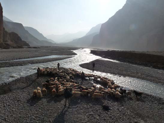 111113_Nepal_Mustang_1419_Syangboche_Chhusang