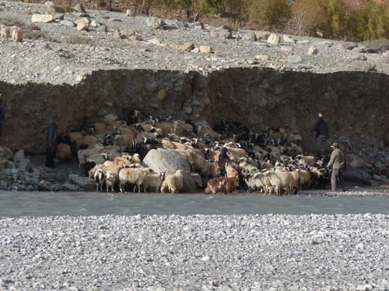 111113_Nepal_Mustang_1421_Syangboche_Chhusang