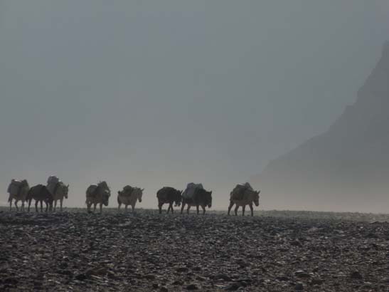 111113_Nepal_Mustang_1427_Syangboche_Chhusang