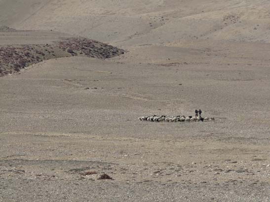 111114_Nepal_Mustang_1452_Chhusang_Muktinath