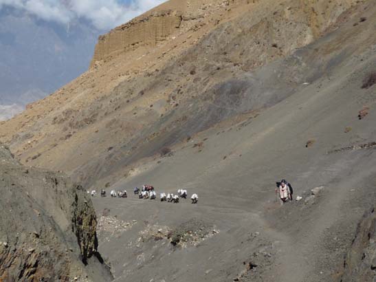 111114_Nepal_Mustang_1461_Chhusang_Muktinath